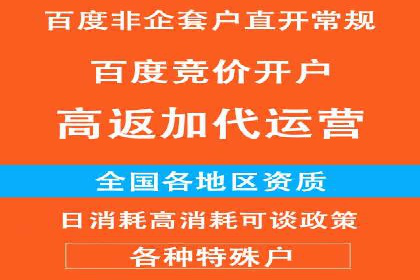 百度推广平台：从传统到数字营销的转型案例